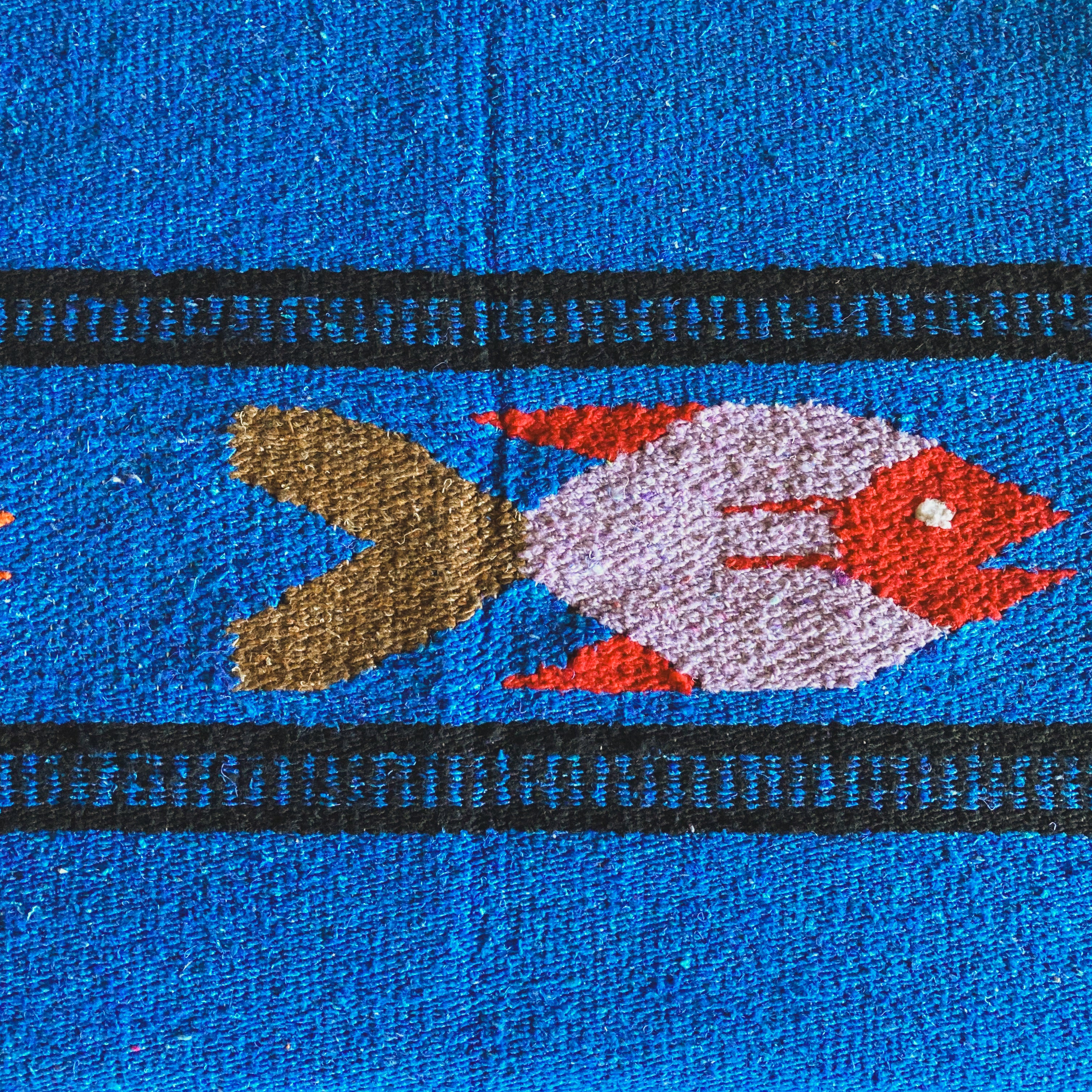 Ocean Blue Fish Design Blanket